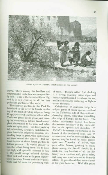 OUR YOSEMITE NATIONAL PARK. vist0061j